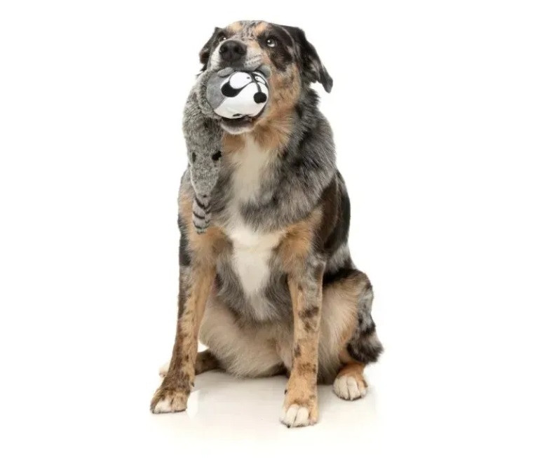 М'яка іграшка для собак FuzzYard Єнотик Луцк - изображение 3