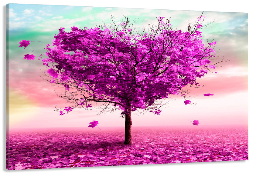 Картина холст в гостиную / спальню  Природа    MLP_345 Киев - изображение 1