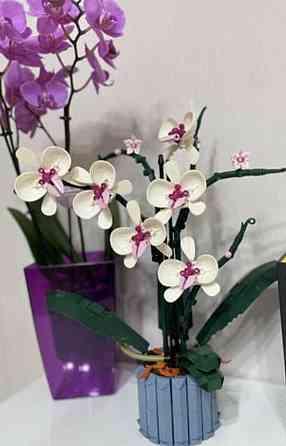 Конструктор орхідея квіти – 608 деталей, конструктор подарунок букет. Харків