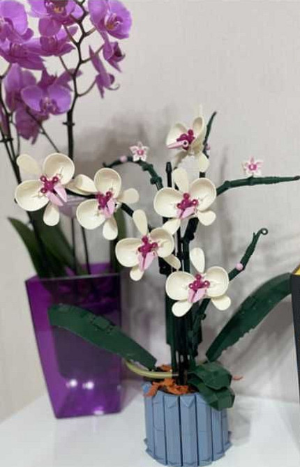 Конструктор орхідея квіти – 608 деталей, конструктор подарунок букет. Харків - фото 1
