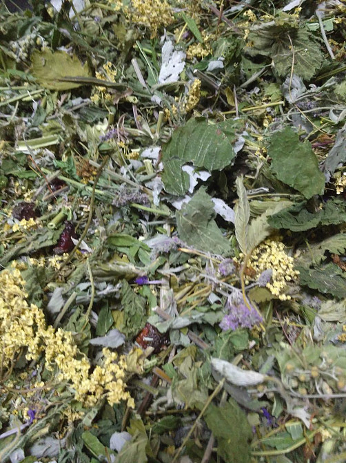 Запарка для бані, сауни, ванни 