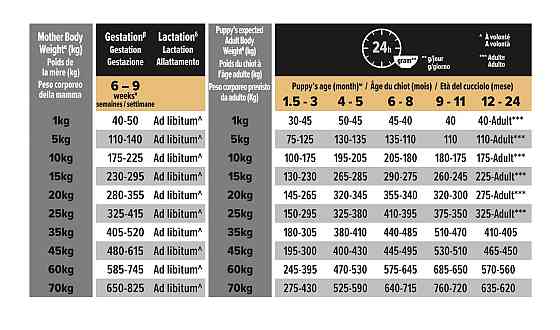 Сухий корм Pro Plan Medium Puppy Sensitive Skin для цуценят середніх порід з чутливою шкірою з лососем 12 кг Вінниця