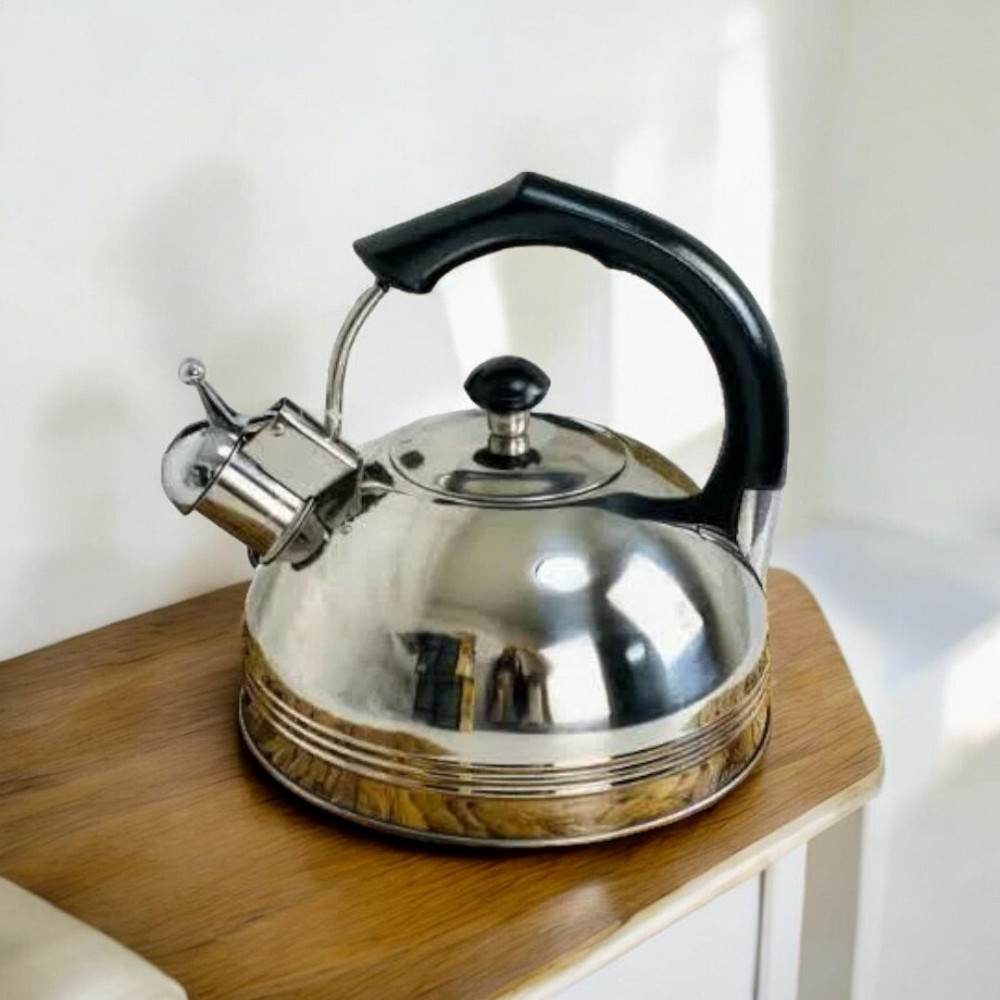 Чайник Зі Свистком 3.5 Лтр для всіх видів плит, турбо-індукційне дно, м'яка зручна ручка Одеса - фото 2