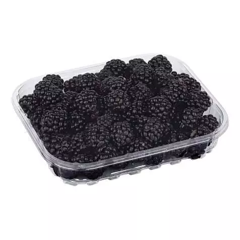 Харчові упаковки(лотки) поліпропіленова на 0.125кг(143х120х26) 50 шт. Харків