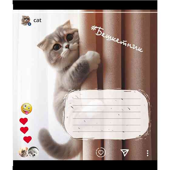 Зошит учнівський "Кішка" 024-550351K-1 в клітинку, 24 аркуші Вінниця