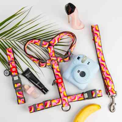 Ошейник для животных WAUDOG Nylon с QR адресником "Бананы на розовом" пластиковый фастекс L (282-4055) Винница