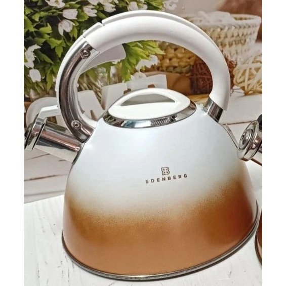 Чайник для газовых плит Edenberg, Чайник с утолщенным дном и прорезиненной ручкой LQ-70 Львов - изображение 1