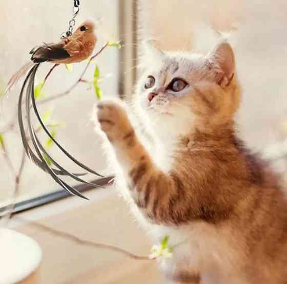 Игрушка для котика на палочке птичка с колокольчиком на присоске 93 см коричневый Киев