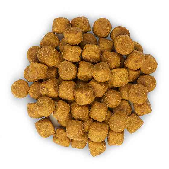 Hills Science Plan Canine Adult Medium Lamb Rice (Хиллс СП Канин для собак средних пород 1-6 лет Ягненок Рис) 14 кг Запорожье