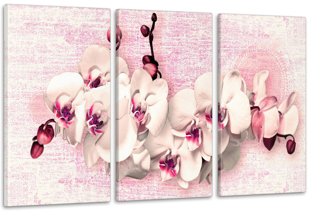 Модульна картина Абстракція Квіти (53х100см) Аrt-222_3А Київ - фото 1