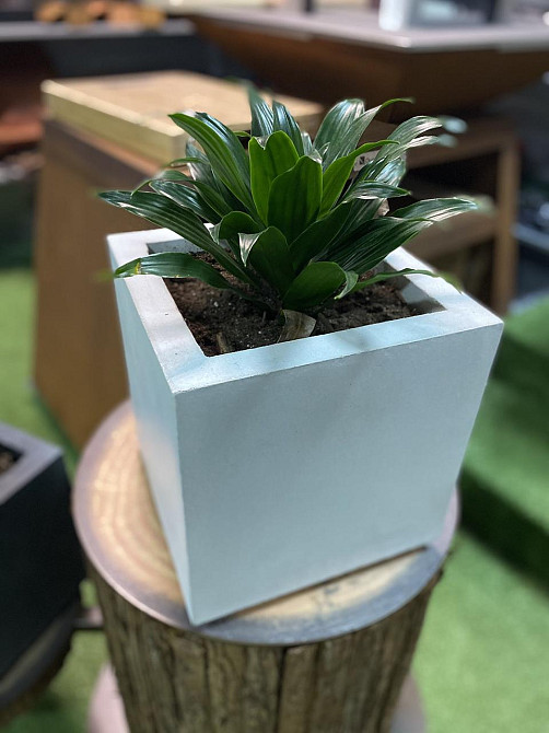 Вазон из бетона для растений, светлый (28* 28) Код: 008745 Ровно - изображение 1