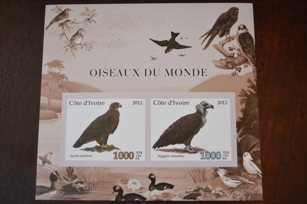 Кот-д' cosin. Фауна. Личности. Блок. (А-35) Полтава - фото 1