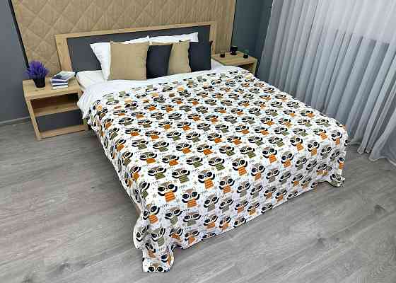Плед-покривало Decorator WellSoft RACCOON 200х205 см з принтом "Єноти" (87-193) Київ