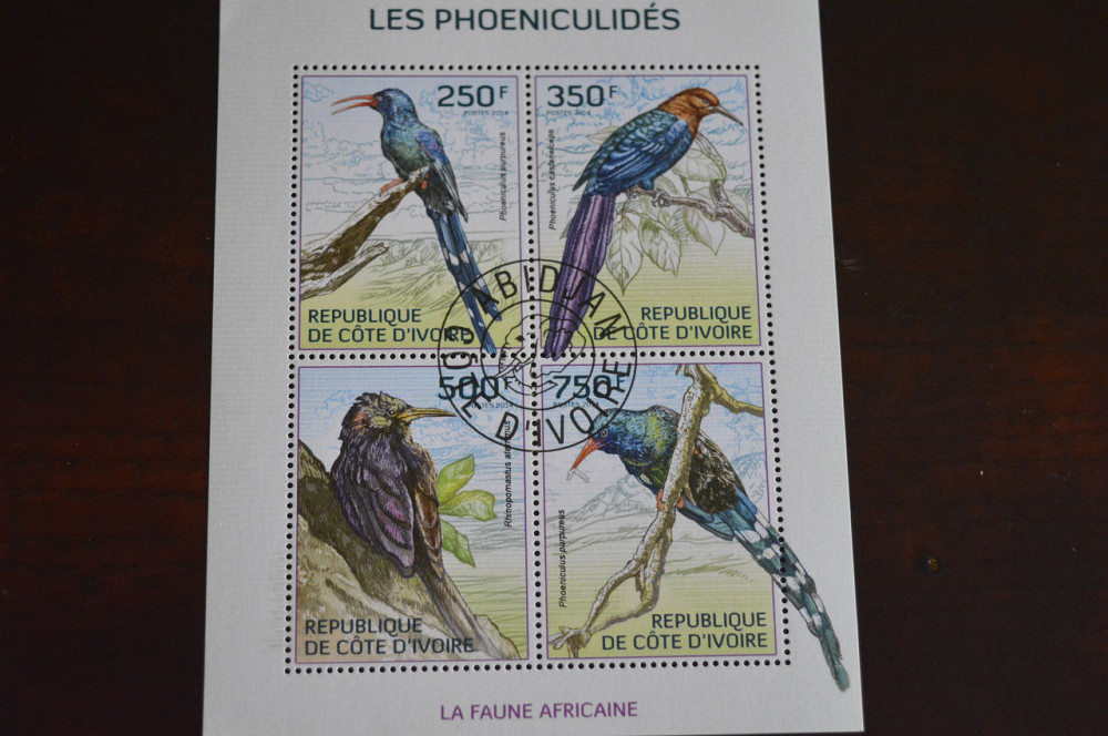 Кот Дивуар. Малый лист. 2014 год. Фауна (Б) Полтава - изображение 1