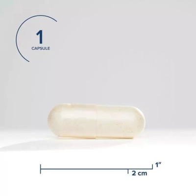 Пробіотики Seeking Health Комплекс пробіотиків, 10 млрд КУО, ProBiota HistaminX, 60 вегетар (SKH52101) Вінниця - фото 3