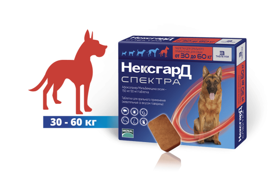 NexGard Spectra XL (Нексгард Спектра XL) таблетки від кліщів, бліх і гельмінтів для собак вагою від 30 до 60 кг Запоріжжя