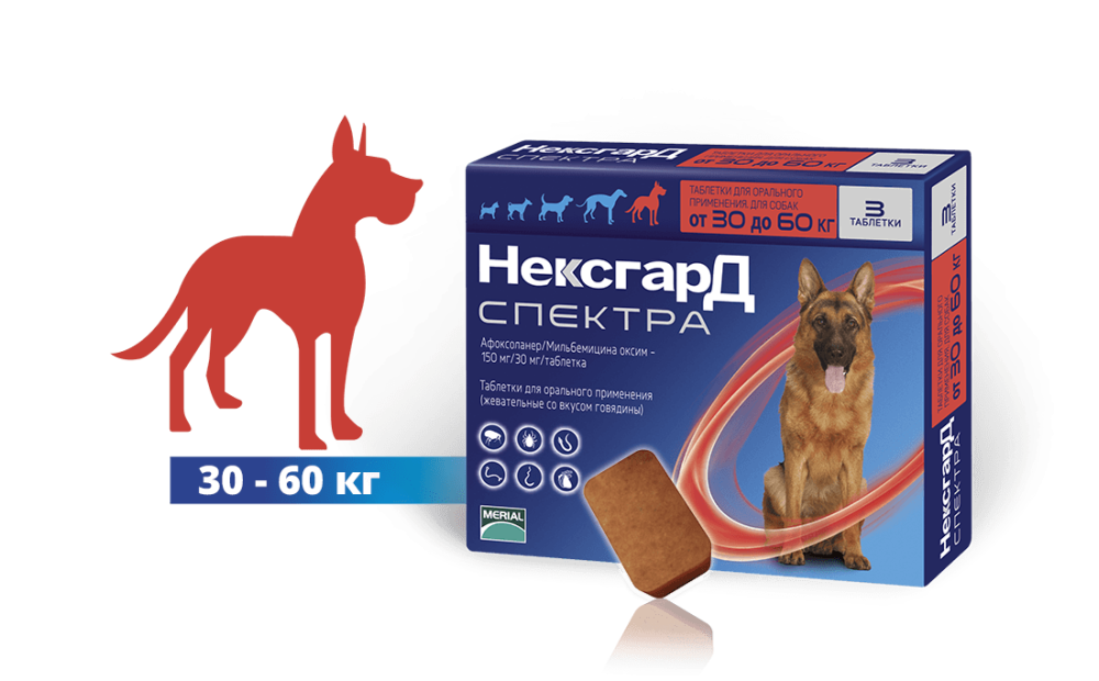 NexGard Spectra XL (Нексгард Спектра XL) таблетки від кліщів, бліх і гельмінтів для собак вагою від 30 до 60 кг Запоріжжя - фото 2
