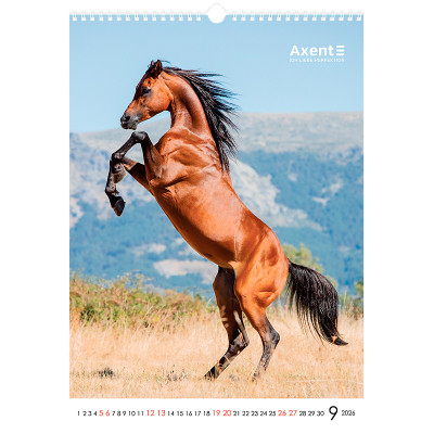 Календарь Axent настенный А3 2026 г. Horses (8804-26-3-A) Винница - изображение 5