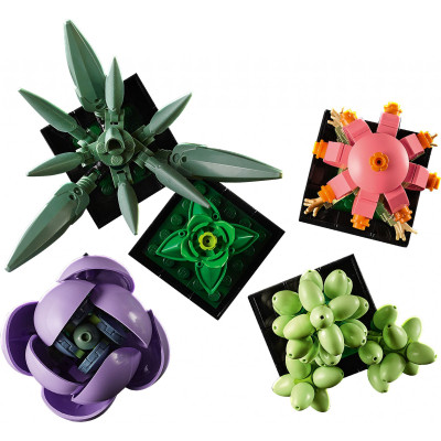 Конструктор LEGO Botanicals Суккуленты (10309-) Винница - изображение 2