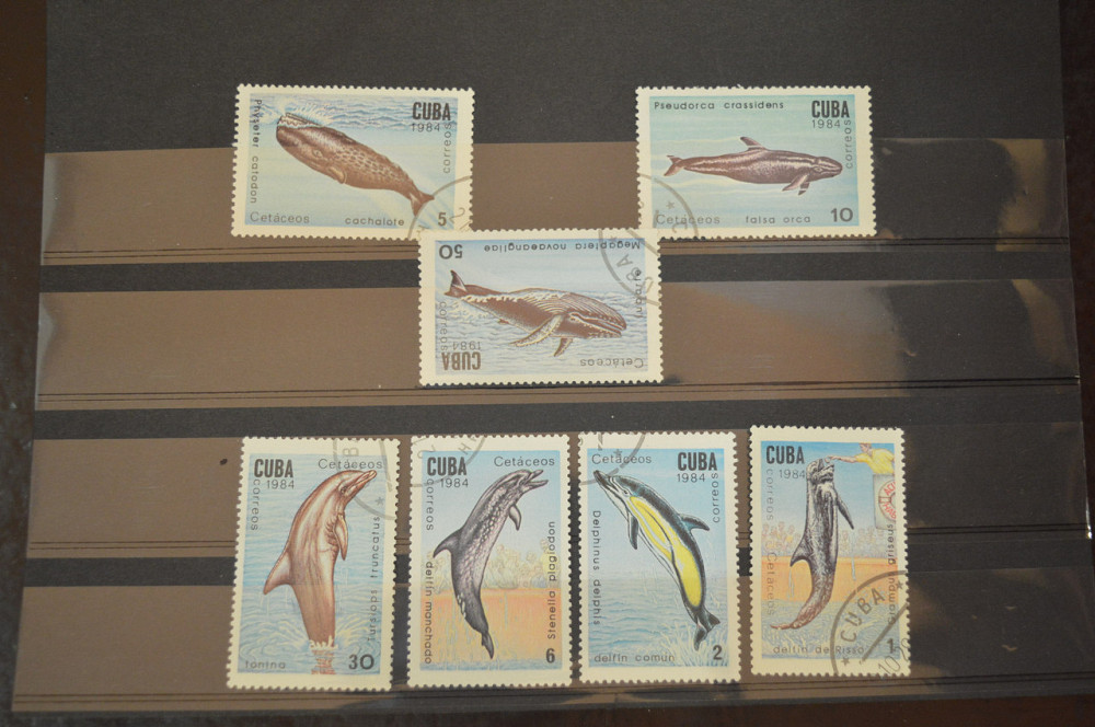 Марки. Серия. Куба. (Гаш.) Полтава - фото 1