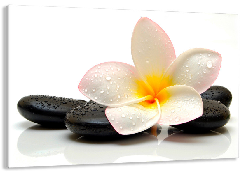 Картина холст у вітальню / спальню Спа-камені з франжіпані     MLP_104  ( 60х30см ) 90х180см Київ - фото 1
