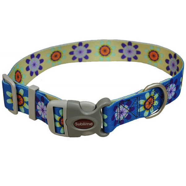 Coastal Sublime КОСТАЛ СУБЛІМ нашийник для собак, 3.8x66см Київ - фото 1