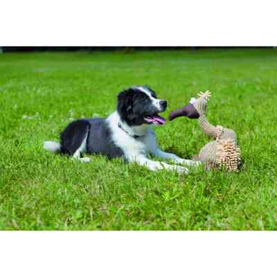 Игрушка для собак Trixie Гриф Густав Ткань и плюш 24 см (4011905359113) Винница