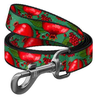 Повідок для собак WAUDOG Nylon "Гранати" L-XXL (342-4052) Вінниця