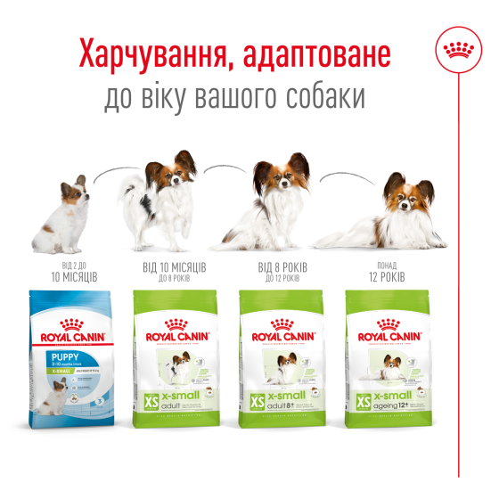 Корм для взрослых собак ROYAL CANIN XSMALL ADULT 8+(возраст от 8 лет) 3 кг Киев