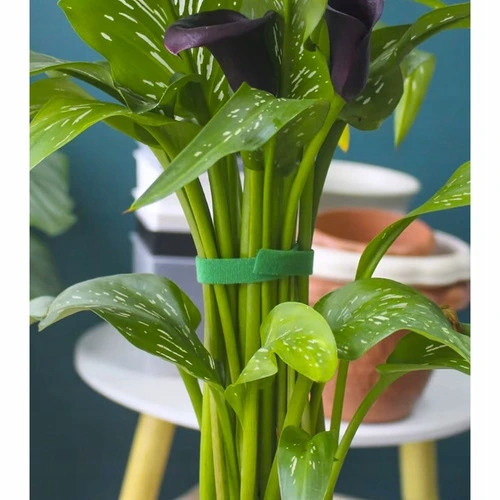 Лента на липучке для крепления разных растений 500 см Gardlov (25362) Нововолынск - изображение 9