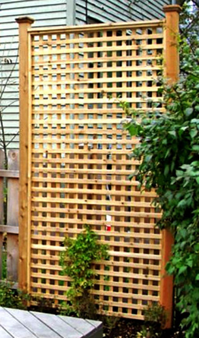 Шпалера садовая 