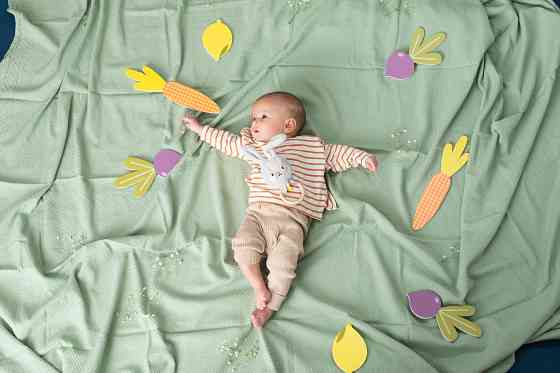 Брязкальце колекції Садочок у місті – Кролик Райлі Дніпро