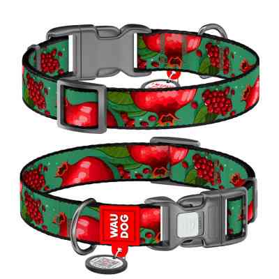 Ошейник для животных WAUDOG Nylon с QR паспортом "Гранаты" пластиковый фастекс М (281-4052) Винница