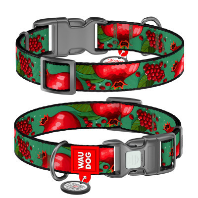 Ошейник для животных WAUDOG Nylon с QR паспортом "Гранаты" пластиковый фастекс М (281-4052) Винница - изображение 1