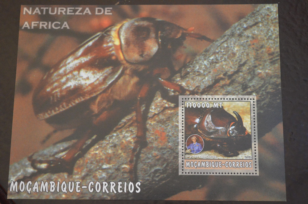 Мозамбик. Фауна. Блок. 2015 год (В-7) Полтава - изображение 1