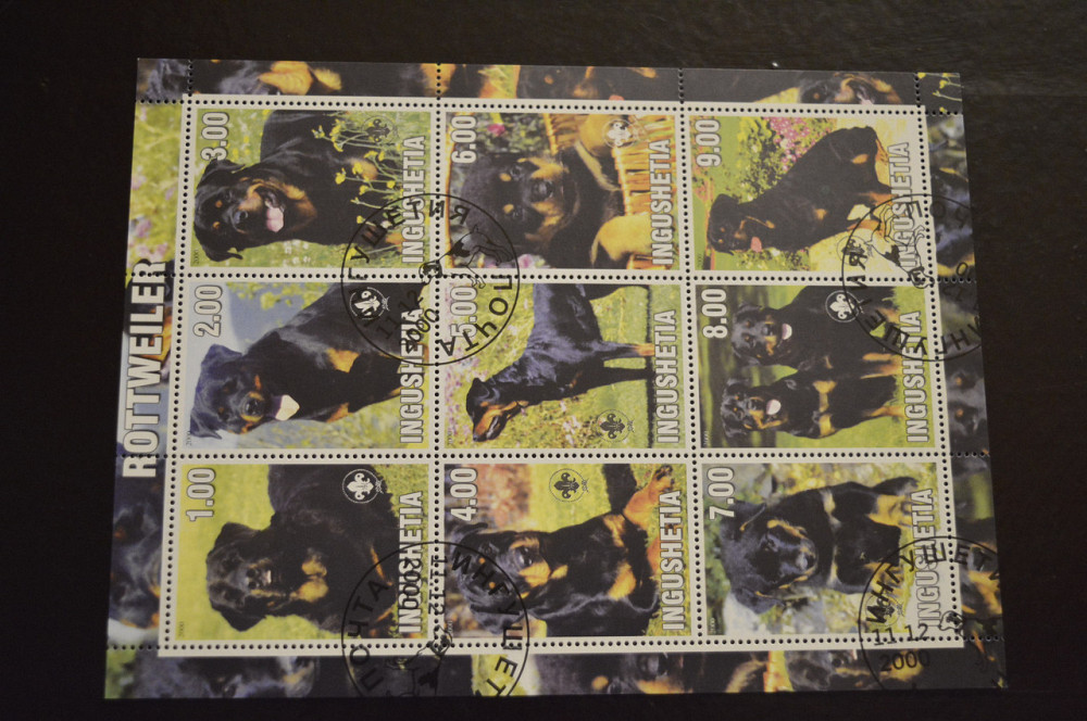 Ингушетия. Фауна. Животные. 2000 год Полтава - изображение 1