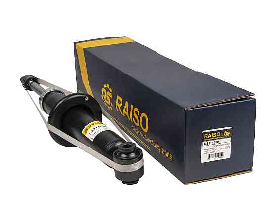 Амортизатор задній Raiso (Швеція) BMW X4 (F26), БМВ Х4 (Ф26)  10-18  #RS314880 UAEGYYV22 Ковель