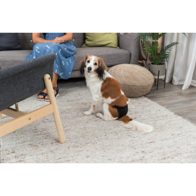 Гигиенические трусы для собак Trixie S-M 32-39 см (черные) (4011905234922) Винница - изображение 4