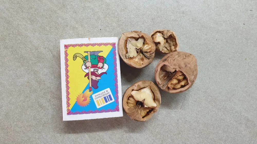 Орехи 2025. Одесса Одесса - изображение 7