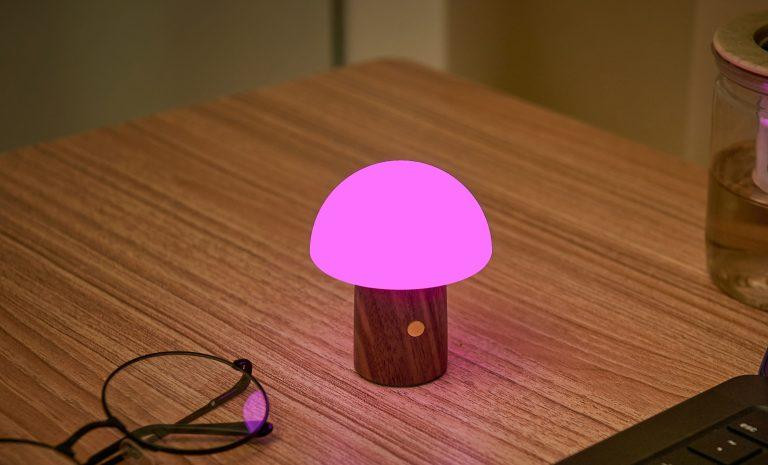 Світильник на акумуляторі Gingko Alice Mushroom Lamp Mini, горіх | G022WT2 Вінниця - фото 2