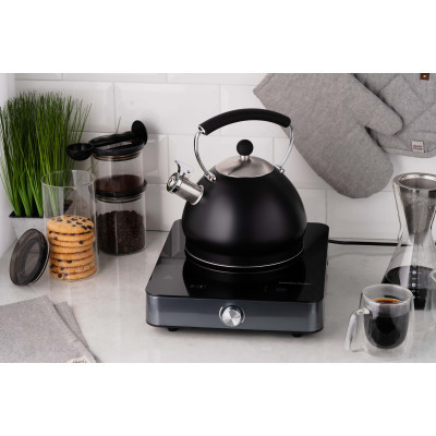 Настольная плита Ardesto ICS-B116 Винница - изображение 5