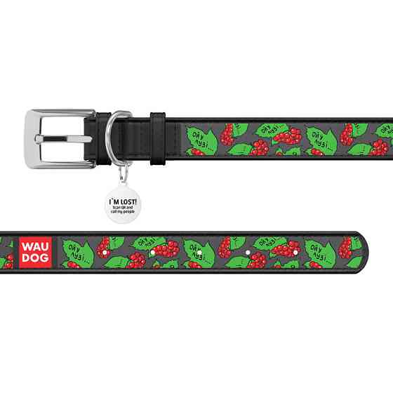 Нашийник для собак шкіряний WAUDOG Design з QR паспортом, малюнок "Каліна", XL, Ш 35 мм, Д 46-59 см, чорний Вінниця