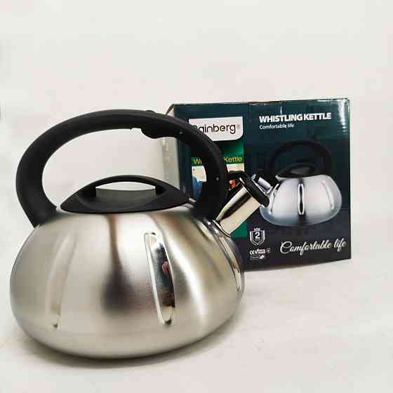 Обычный чайник со свистком, Чайник с удобным носиком для налива воды метталический газовый OL-66 Львов