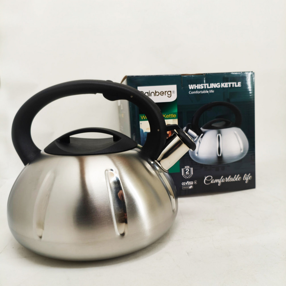 Обычный чайник со свистком, Чайник с удобным носиком для налива воды метталический газовый OL-66 Львов - изображение 6