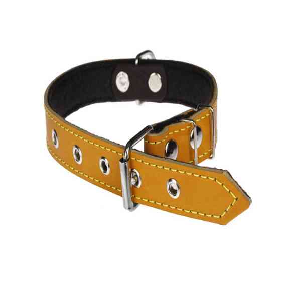 Нашийник 314 25 мм "Класик "шкіра+синтепон" Вінниця