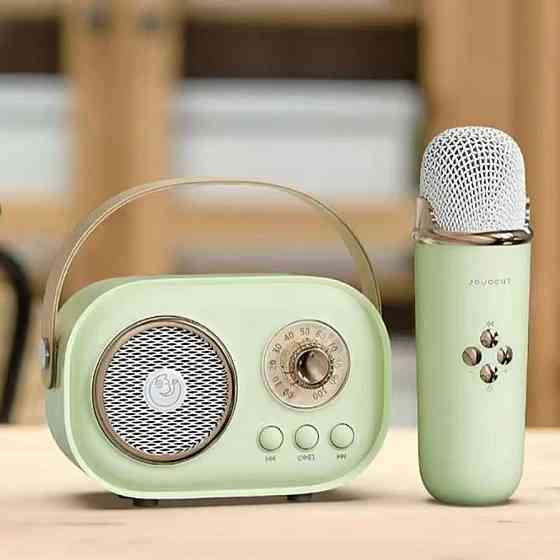 Колонка для караоке з мікрофоном на акумуляторі, Зелений / Блютуз колонка з мікрофоном / Караоке колонка Київ