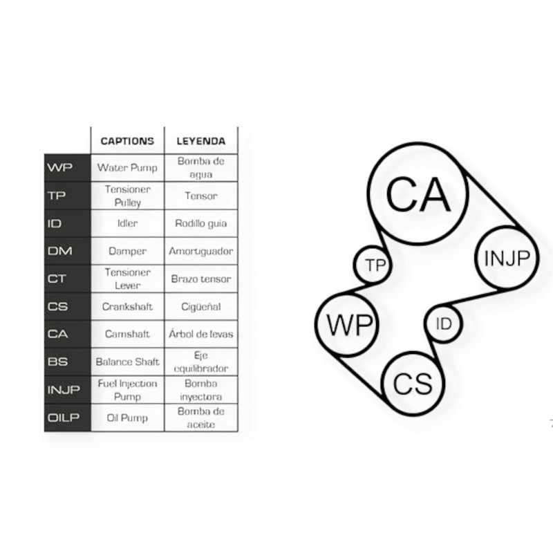 Ремкомплект Citroen C5, C8, Peugeot 406, 607, 2.2HDI 02- (ремінь, ролики, помпа) - ГРМ Мукачево - фото 1