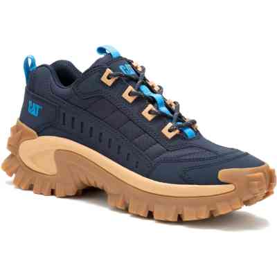 Кросівки Caterpillar (CAT) Intruder P111514 сині 40 (195020127766) Вінниця