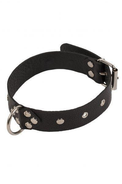 Ошейник Dominant Collar, Black Sex Aura Киев - изображение 1