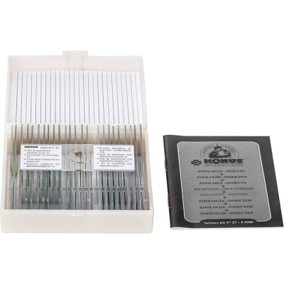 Набор микропрепаратов Konus Загальна Біологія Зоологія, безхребетні і комахи 25 шт (4977) Винница - изображение 4